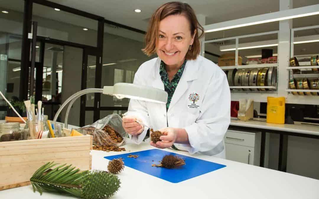 Dr Cathy Offord on The Year That Made Me