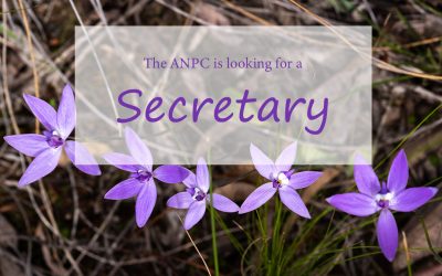 Looking to fill Secretary position