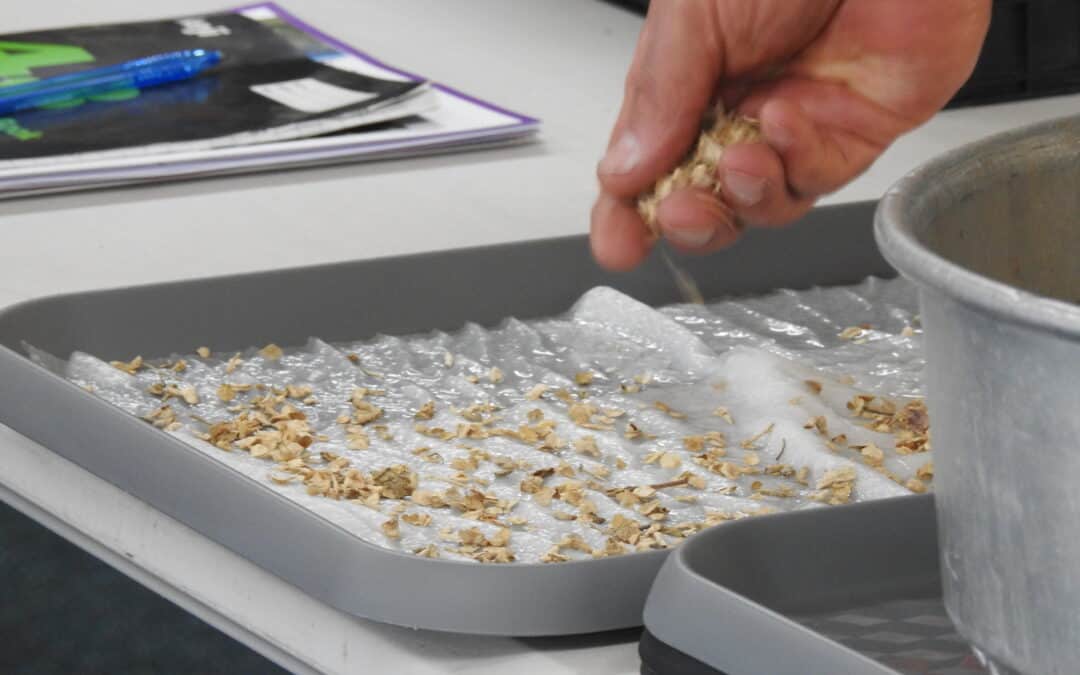 Native Seed Industry Working Group