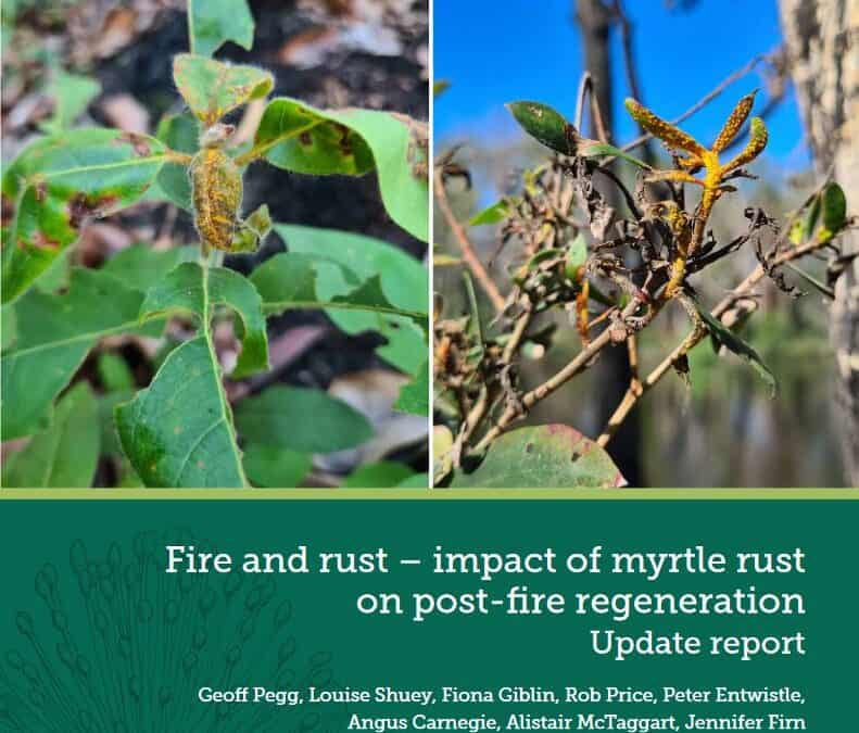 Fire and Rust reports released