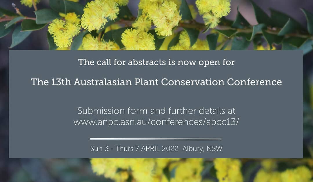APCC13 – Call for abstracts