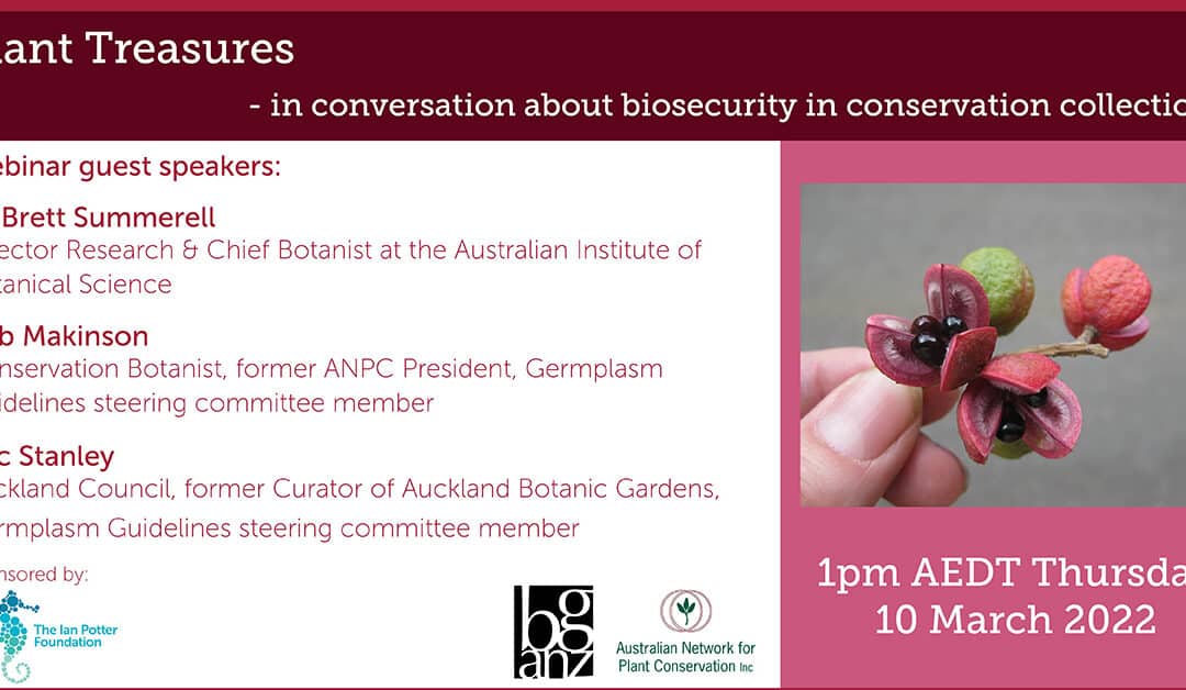 Plant Treasures – in conversation