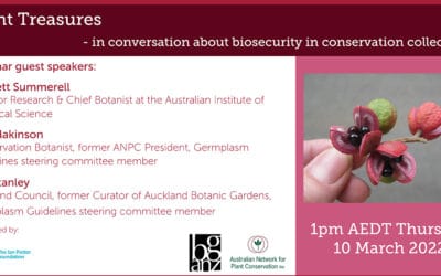 Plant Treasures – in conversation