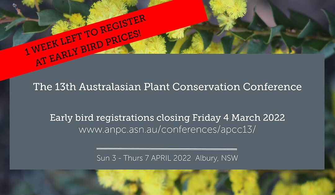 Early bird registrations closing