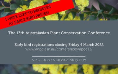 Early bird registrations closing