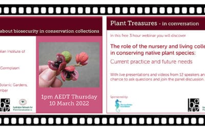 Plant Treasures – in conversation