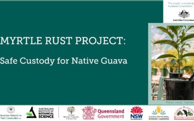 Safe custody for Native Guava – Project Update