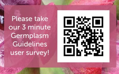 GG3 Survey Closing 28 Oct 2022!