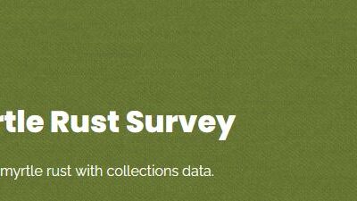 Reminder – Myrtle rust survey