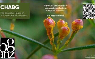 Myrtle rust survey – extended to 4 November