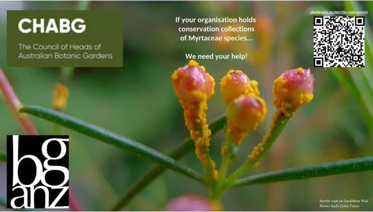 Myrtle rust survey – extended to 4 November