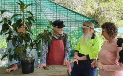 Sneak Peek – Native Guava filming