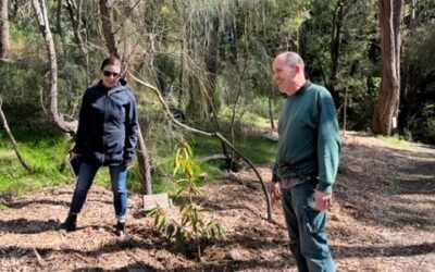 Project Update – Planting out