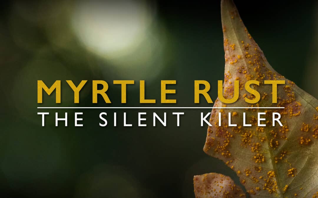 Film Release: Myrtle Rust – the silent killer