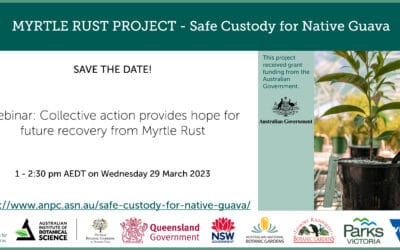 Webinar: Collective action provides hope for future recovery from Myrtle Rust