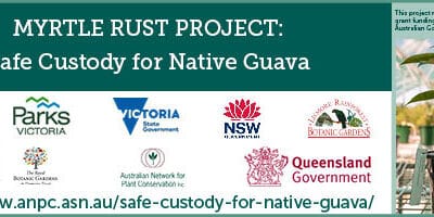 Webinar: Collective action provides hope for future recovery from Myrtle Rust
