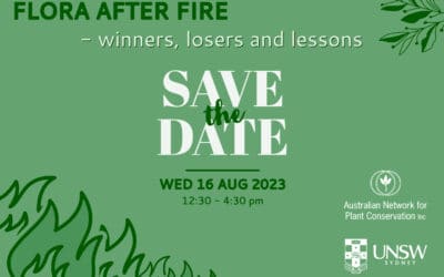 Online post-fire symposium