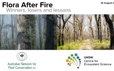 Flora After Fire recordings now available