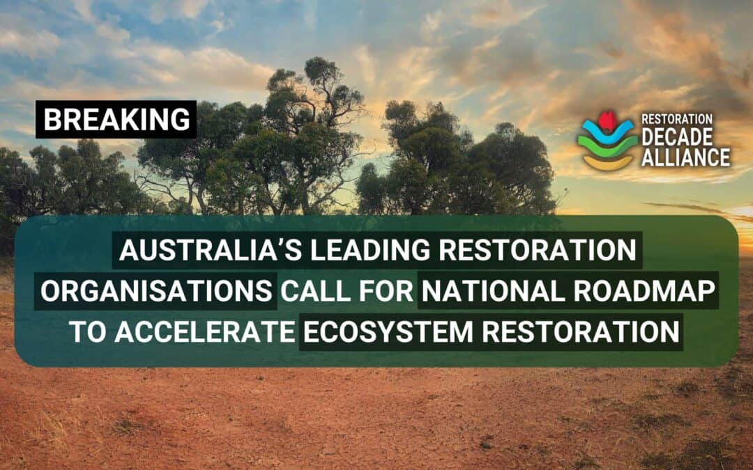 ANPC supports Restoration Decade Alliance call for a national roadmap to accelerate ecosystem restoration