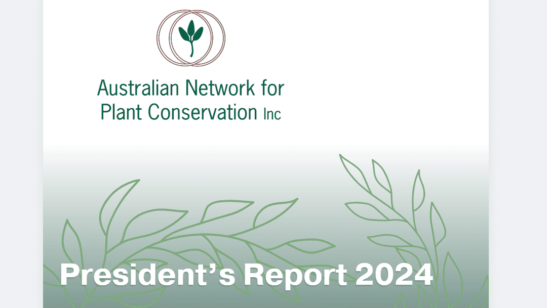 President’s report for 2024 now available