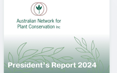 President’s report for 2024 now available