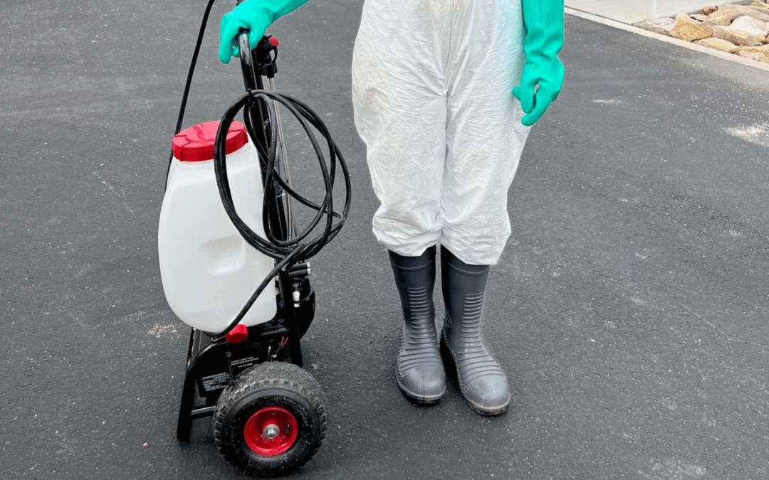 New option for treatment of Myrtle Rust