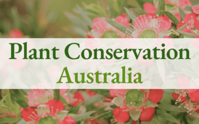 A new chapter for the ANPC – introducing Plant Conservation Australia!