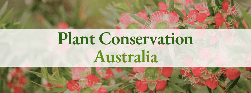 A new chapter for the ANPC – introducing Plant Conservation Australia!