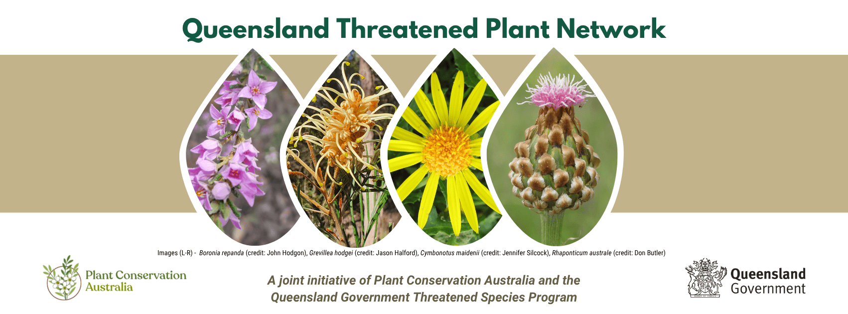 QTPN Branding (1600 x 500 px) (2)