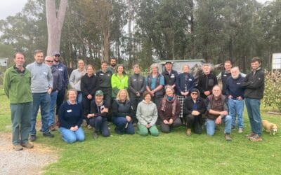 Victorian Threatened Flora workshops